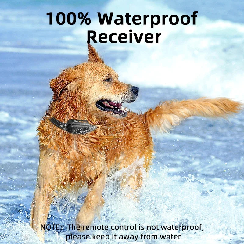 PetTrainer Ferntrainingshalsband mit Handsender. Wasserdicht & 1000m Reichweite für sicheres Hundetraining.