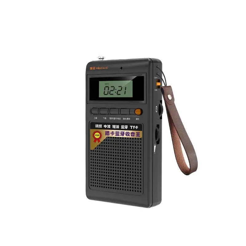 Tragbares Bluetooth Radio und MP3-Player für unterwegs; kompakter Musik-Player mit FM/AM/SW Radioempfang.