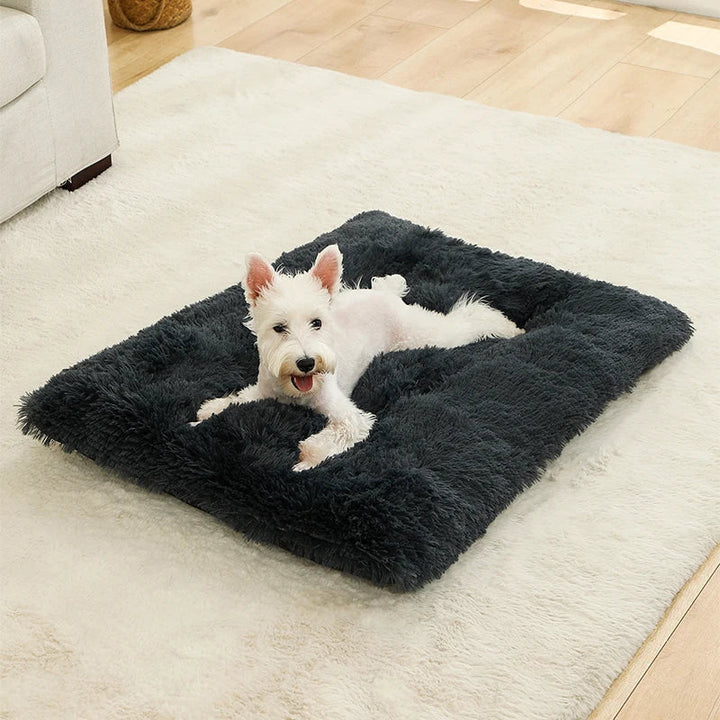Weiches, rundes Plüschbett für Hunde & Katzen. Bietet Geborgenheit & Komfort. Waschbar & rutschfest.