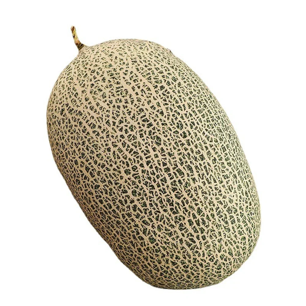 Buntes Wassermelonen-Fruchtkissen aus Plüsch, ein weiches Kuschelkissen und fröhliches Wohnaccessoire.