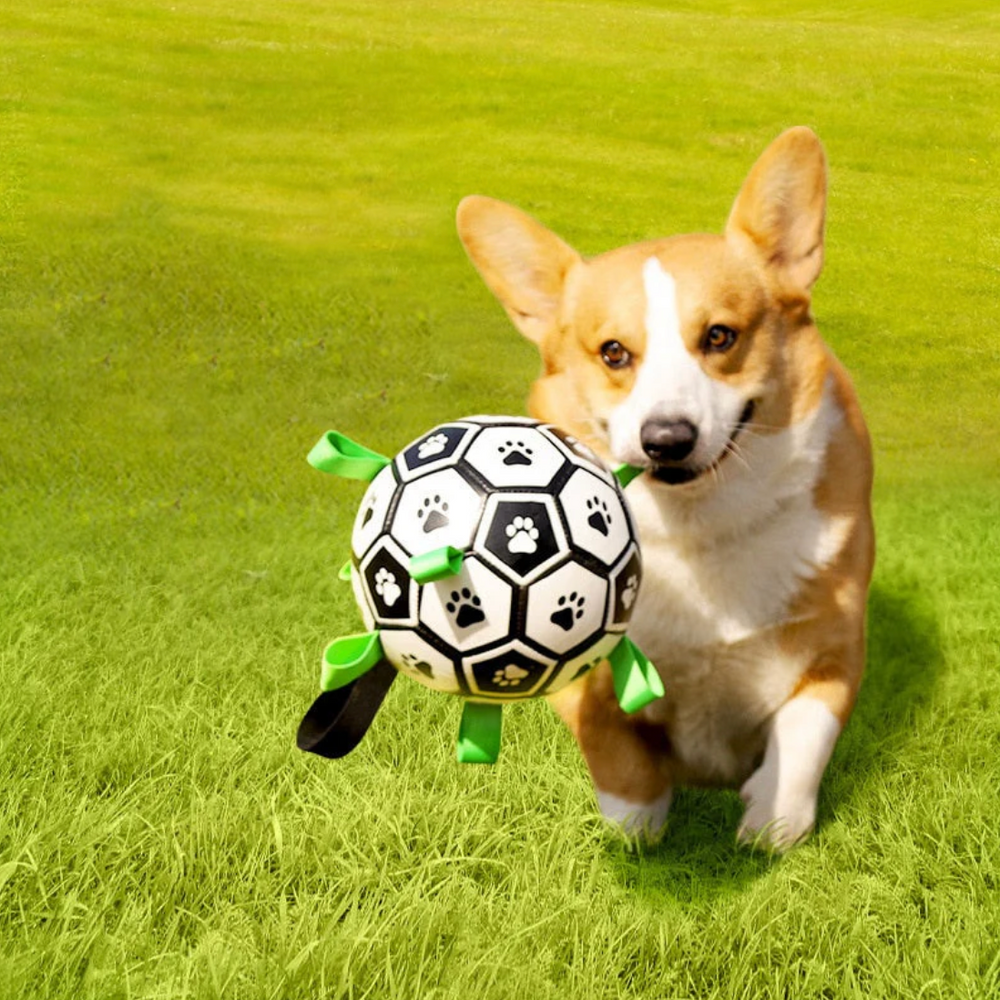 Bissfester Gummiball für Hunde mit Griffen. Strapazierfähiges Hundespielzeug für draußen & Zerrspiele.