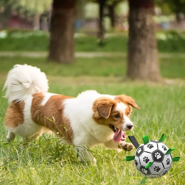 Interaktiver Hundefußball mit Griffen. Perfektes Apportier- & Zerrspielzeug für Hunde aller Größen.