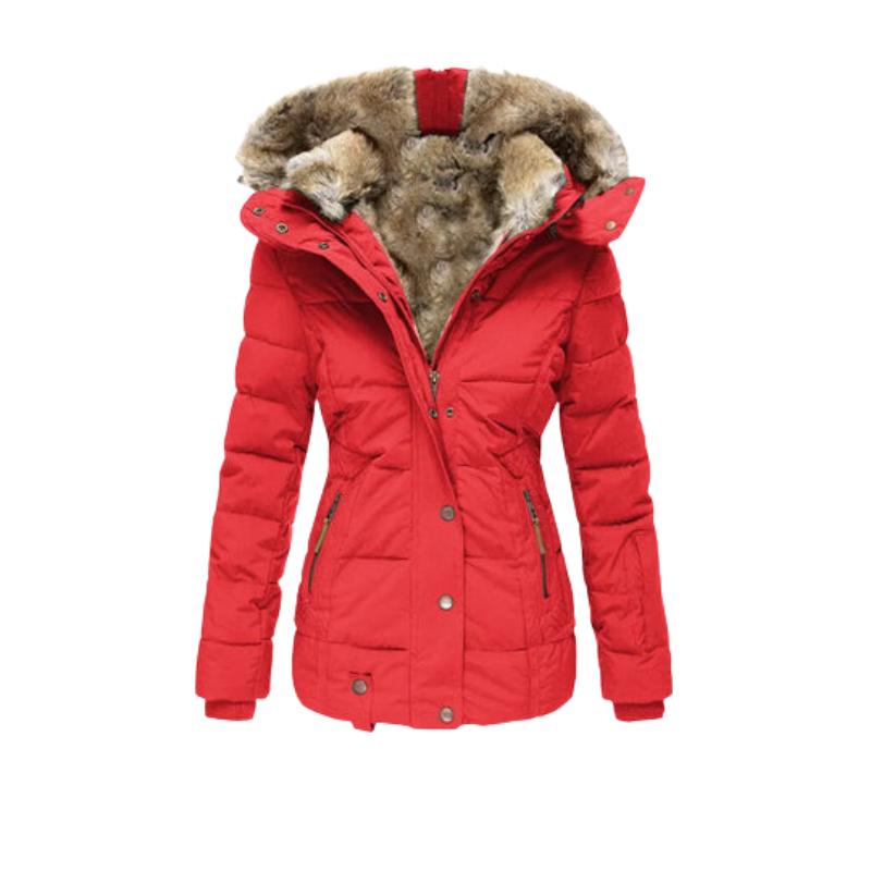 Damen Thermojacke für den Winter, wasserdicht, winddicht & warm isoliert, mit Kapuze. (97)