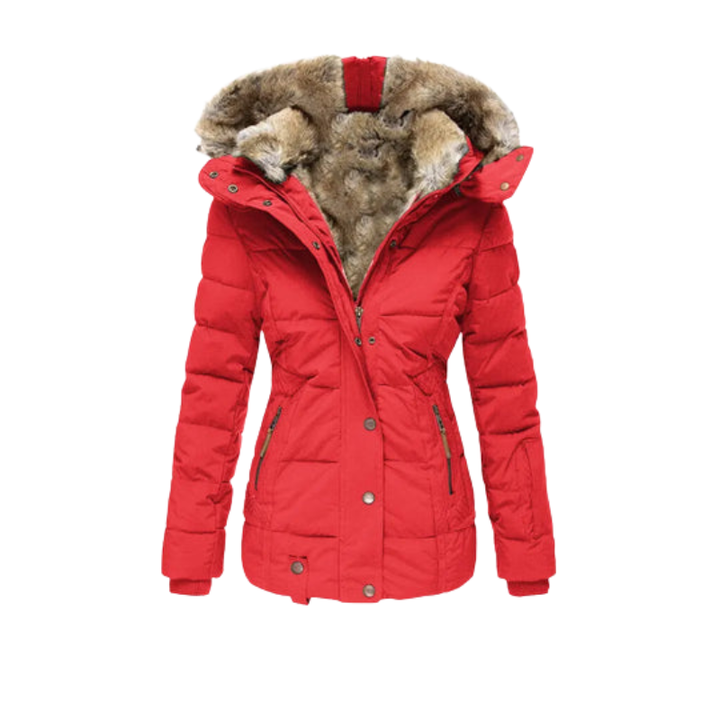 Damen Thermojacke für den Winter, wasserdicht, winddicht & warm isoliert, mit Kapuze. (97)