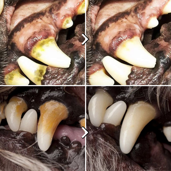 Interaktives Hundezerrtau fördert Spieltrieb und Zahngesundheit. Perfekt für Zerrspiele und aktives Kauen.