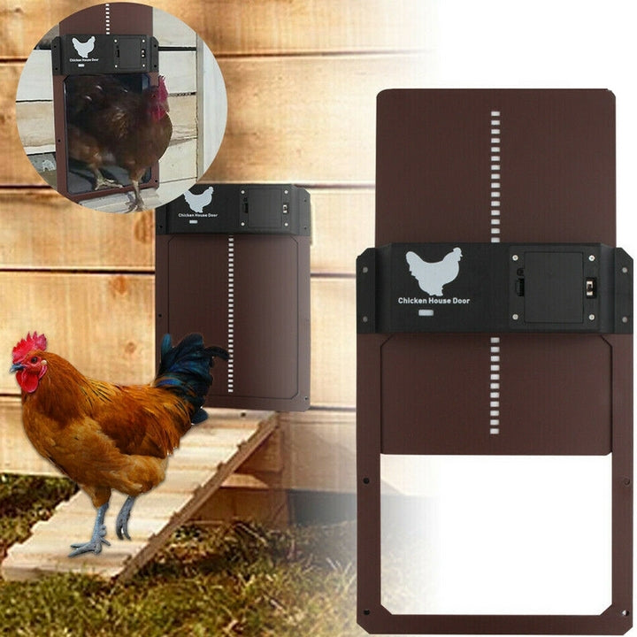 Sichere automatische Hühnerstalltür mit Lichtsensor. Schützt Geflügel auf Farm & Hof und vereinfacht Tierhaltung.