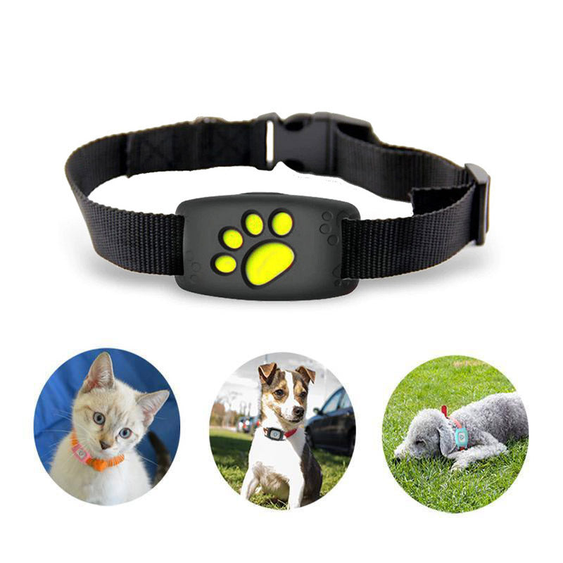 Wasserdichtes GPS-Halsband für Katze & kleinen Hund mit Geo-Fence und ohne Abonnement für sichere Hundeortung.