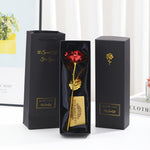 Rote Blume Schwarze Box