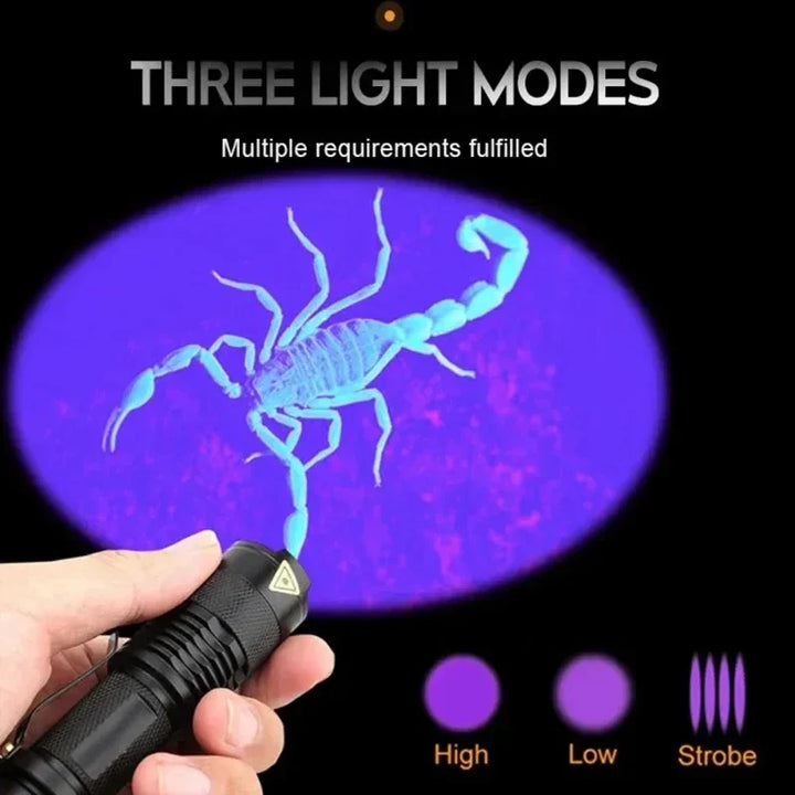 Schwarzlicht-Taschenlampe zur effektiven Fleckenerkennung; ideal für Reinigungsaufgaben zuhause.