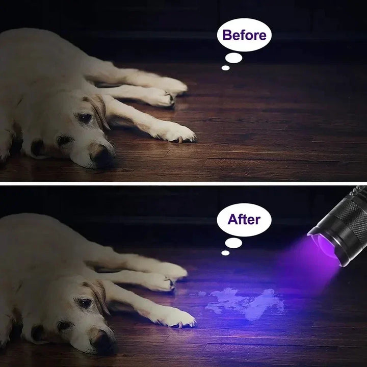 Handliche UV-LED-Lampe zur Hygiene-Kontrolle & unsichtbaren Flecken-Entdeckung im Badezimmer.