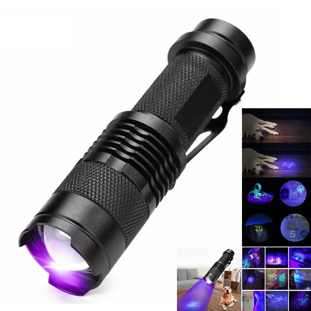 Tragbare UV-Taschenlampe (SK68) zur schnellen Identifizierung von Flecken & Geruchsquellen.
