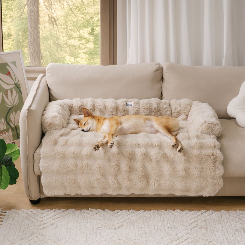 Hundebett in Beige mit erhöhtem Rand, weich und plüschig für entspannte Vierbeiner.