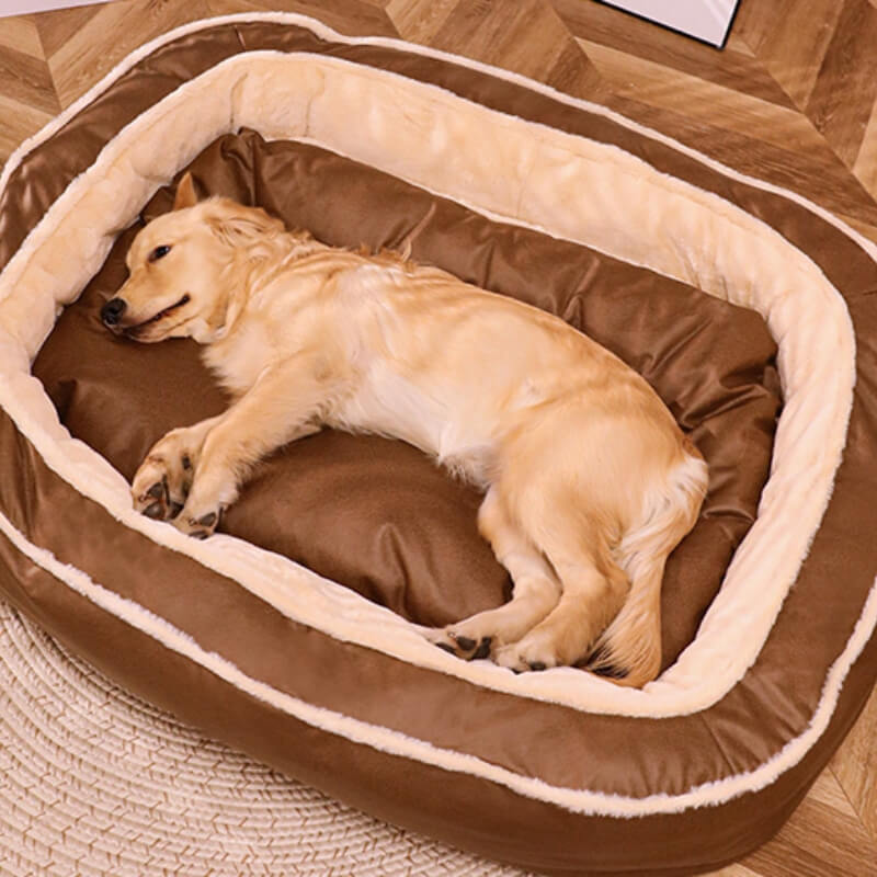 Komfortables orthopädisches Hundebett mit Memory-Schaum für optimalen Gelenkschutz von kleinen bis großen Hunden.