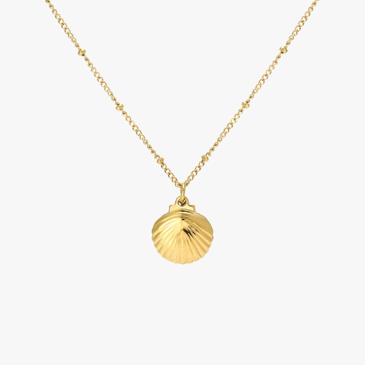 Produktansicht: Damen Gold-/Silberkette mit Muschel-Anhänger & Süßwasserperle. PVD, hypoallergen.