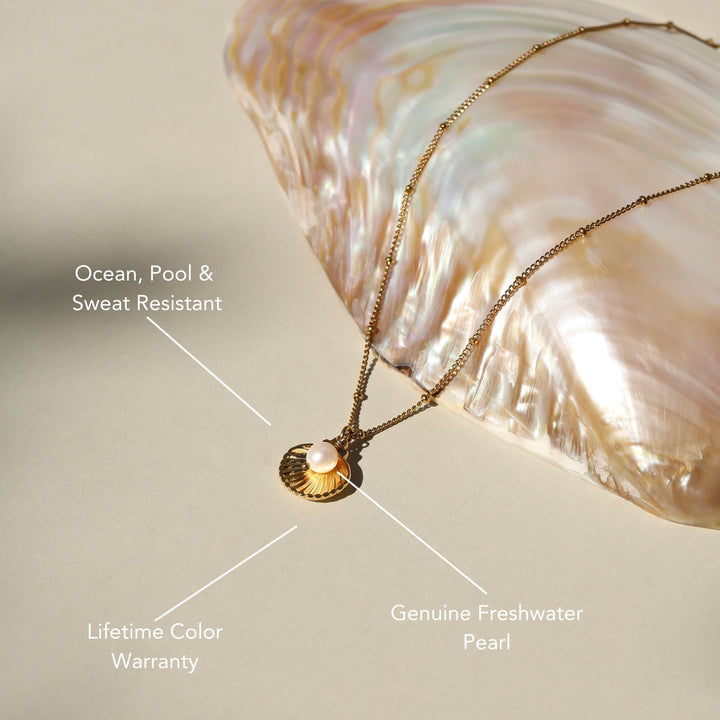 Silberne Muschelkette für Damen mit Süßwasserperle. Verstellbar, PVD-beschichtet, wasserdicht & edel.
