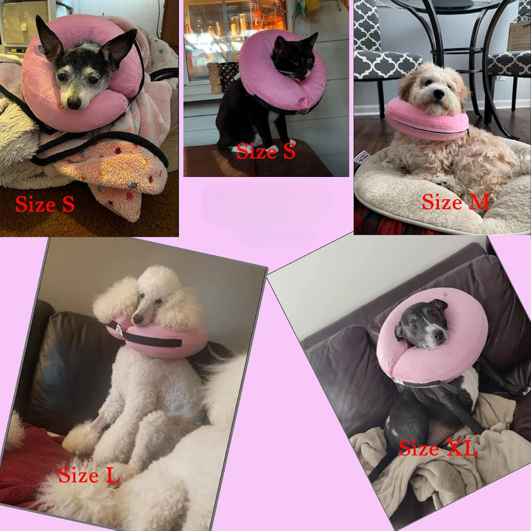 Aufblasbarer Erholungsring für Hunde, weich & verstellbar, ideal für Genesung und Tierschutz.