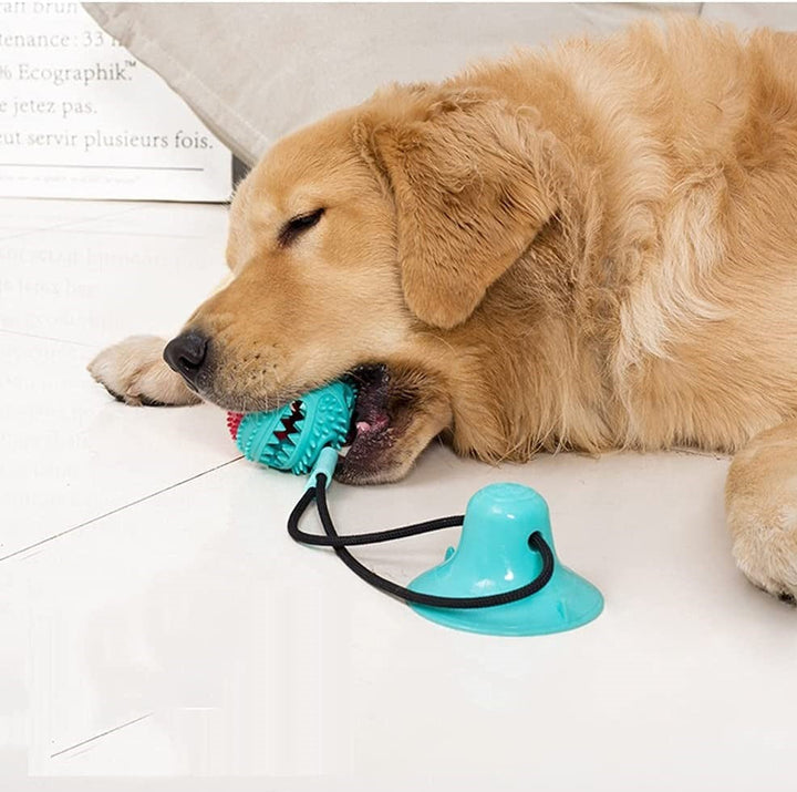 Robustes Zerrtau-Hundespielzeug mit Knoten für extra Halt beim Ziehen, Kauen und interaktiven Spielen.