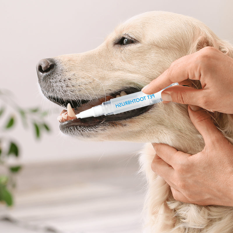 Verpackung des Haustier Zahnbürstenstifts für einfache Zahnpflege & Mundhygiene von Hunden und Katzen.