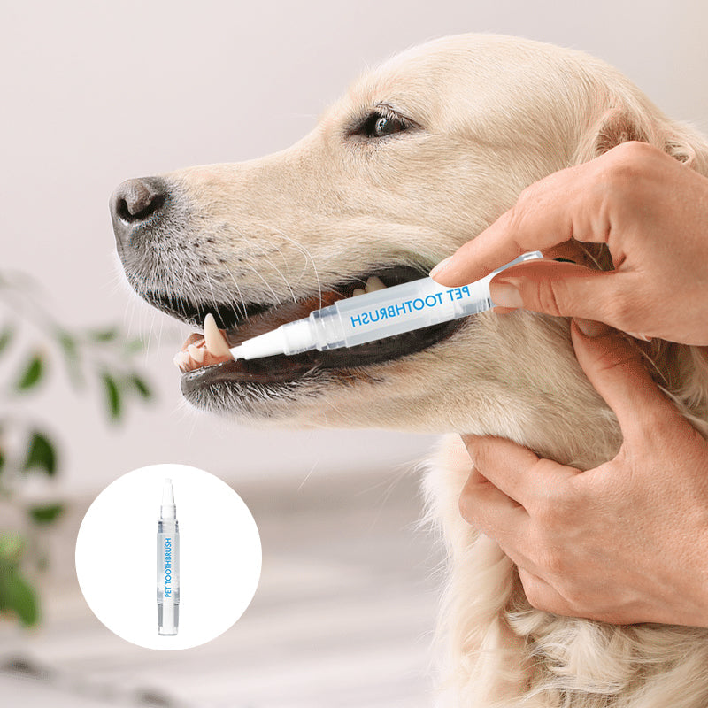 Eine Hand hält den Haustier Zahnpflege-Stift, ideal für die Mundhygiene bei Hund und Katze.