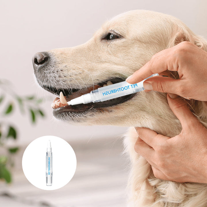 Eine Hand hält den Haustier Zahnpflege-Stift, ideal für die Mundhygiene bei Hund und Katze.