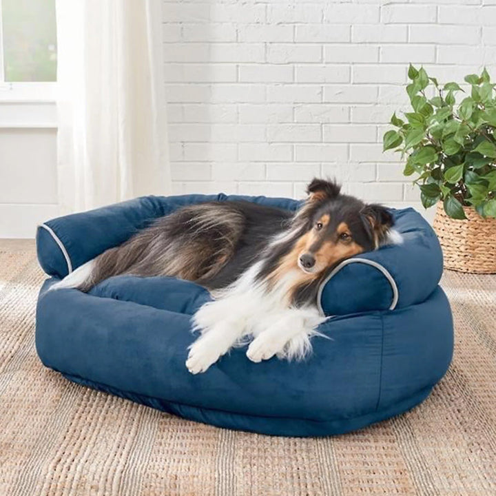 Entspannendes orthopädisches Hundebett, fördert Tiefenentspannung und Gelenkschonung für Hunde.