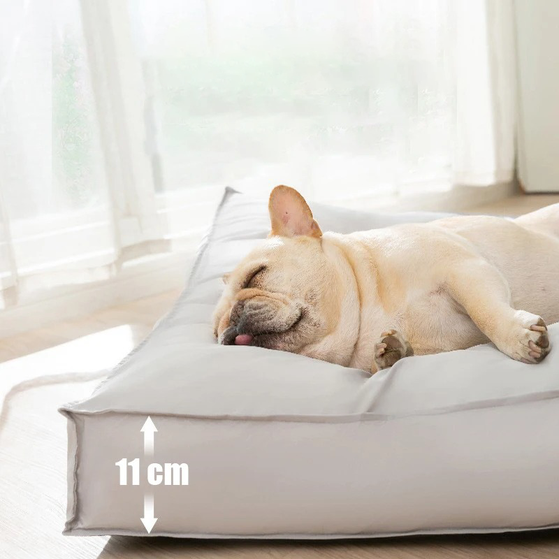 Gelenkschonendes Hundekissen mit Memoryschaum. Wasserdichtes orthopädisches Hundebett für optimalen Schlafplatz.