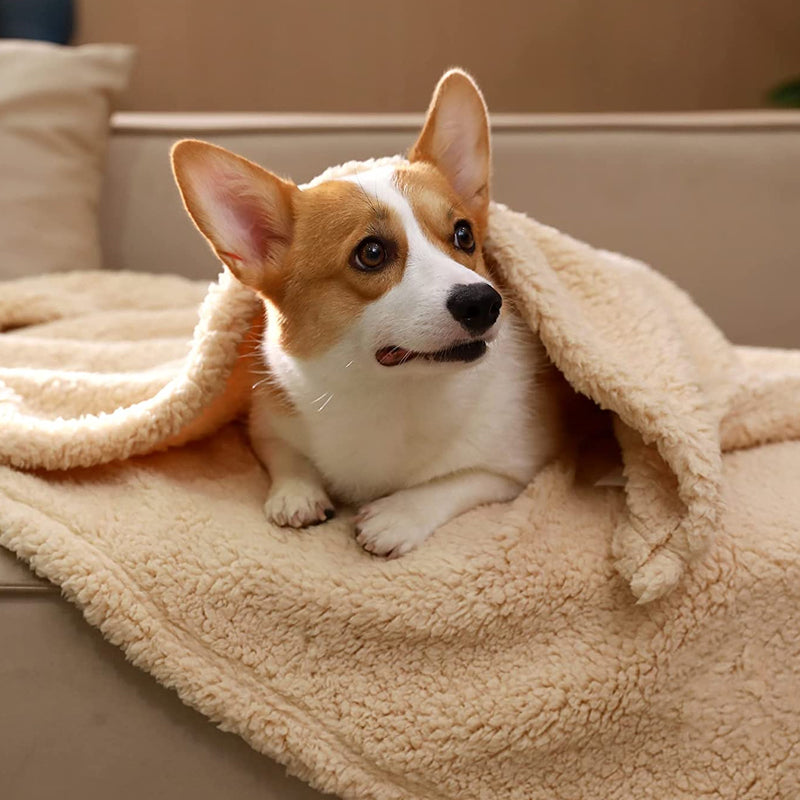 Cremefarbene SnuggleFur Welpendecke aus weichem Fleece, ideal für Hundebetten. Warm & kuschelig.