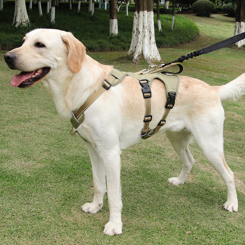 Reflektierendes Anti-Zieh-Hundegeschirr: Sicher & komfortabel für Outdoor-Spaziergänge. Ideal für große Hunde.
