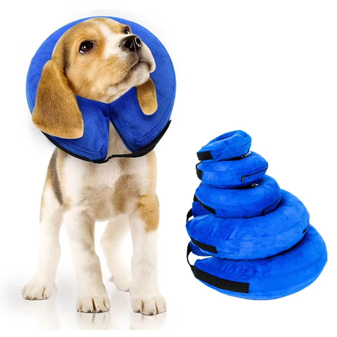 Aufblasbarer Hundekragen für Genesung, weich & bequem. Schützt Hunde nach OP.