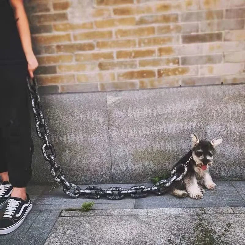 Luxuriöse Hundeleine im Ketten-Look für modische Hunde & Besitzer. Exklusives Hundezubehör.
