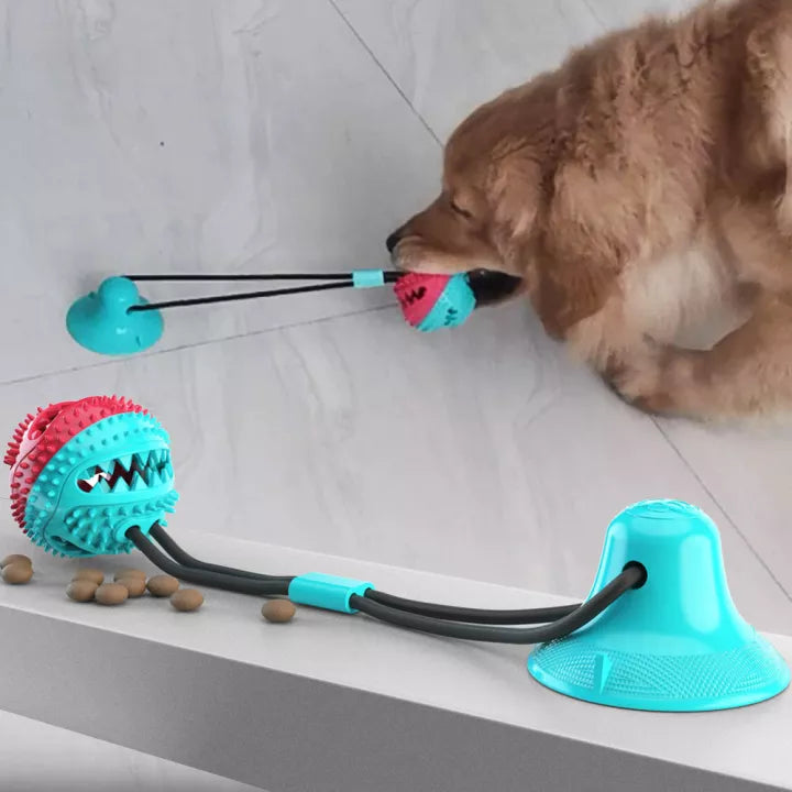 Sicheres Hundespielzeug für Zahnpflege: Das Zerrtau unterstützt die Mundhygiene deines Hundes beim Spielen.