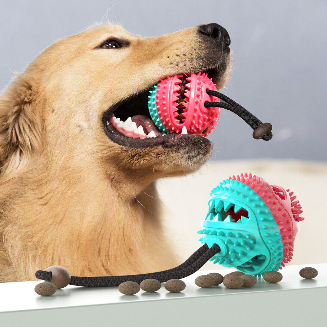 Deutsches Hundezerrtau für Zahnpflege & interaktiven Spielspaß. Robustes Hundespielzeug für alle Rassen.