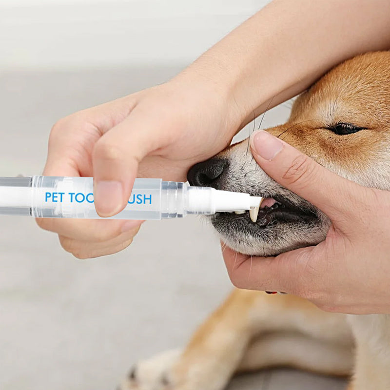 Katze lässt sich Zähne putzen mit dem speziellen Zahnpflege-Stift für frischen Katzen-Atem.