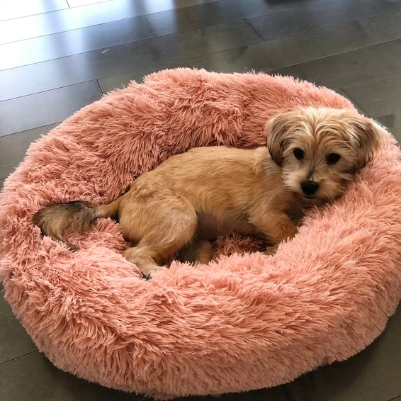 Stilvolles Hundebett Wolke 7 Donutbett, flauschig und komfortabel. Auch als Katzenbett geeignet.