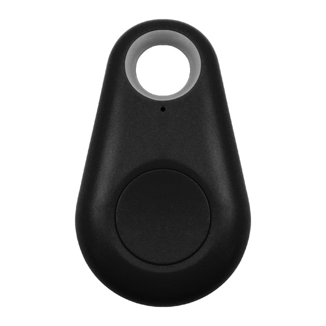 Kleine Katze trägt GPS Tag am Halsband; zuverlässiger Haustier GPS Tracker.