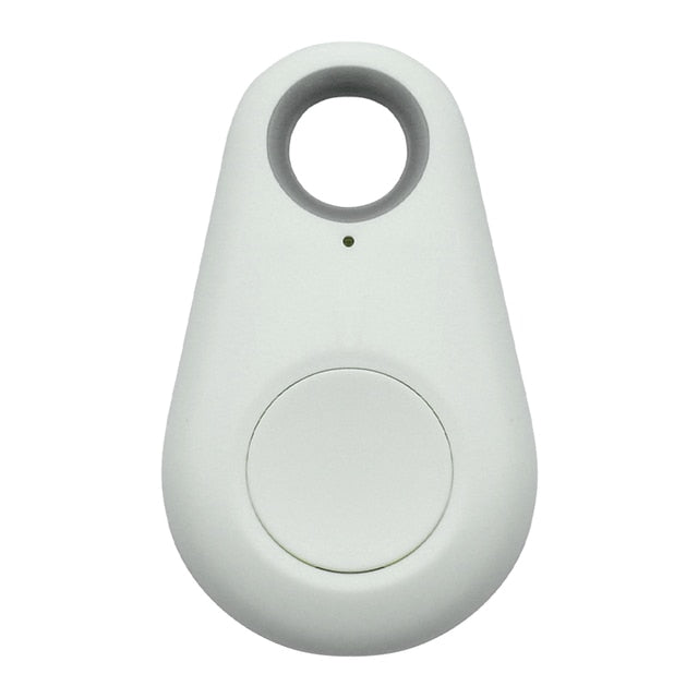 Haustier GPS Tracker unter Wasser; wasserdichtes Ortungsgerät für aktive Haustiere.