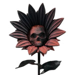 Rot