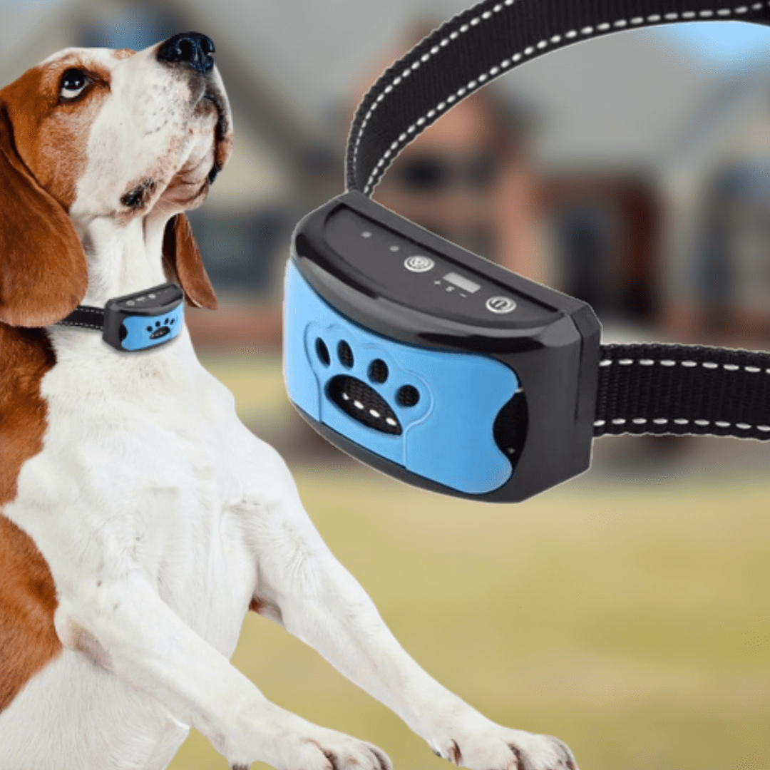 Effektives Ultraschall Bellhalsband für Hundetraining. Verstellbar, fördert Gehorsamkeit & stoppt Bellen sanft.