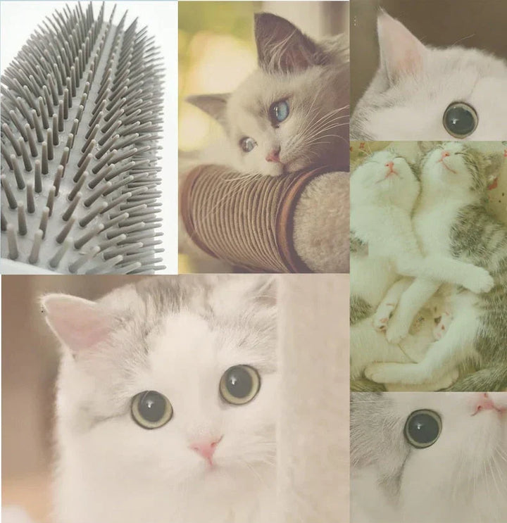Selbstpflege-Bürste für Katzen, in der Ecke montierbar, für entspannende Massage & Fellpflege.