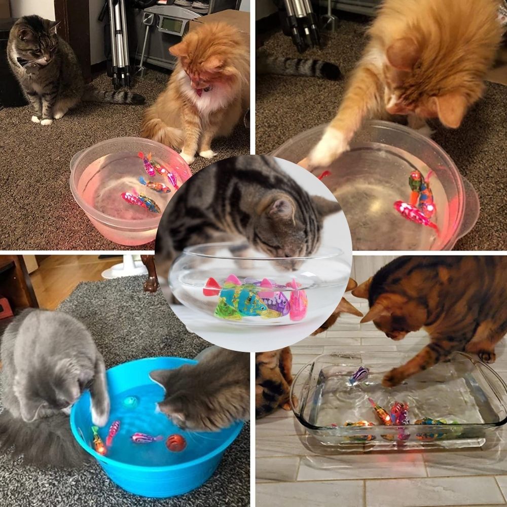 Lebensechtes, interaktives Fischspielzeug Set, das Katzen zum aktiven Spielen animiert.