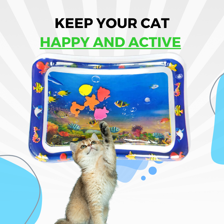 Katze spielt vergnügt auf der Wasserspielmatte mit Sprinklerfunktion. Interaktives Haustier-Spielzeug für Action.