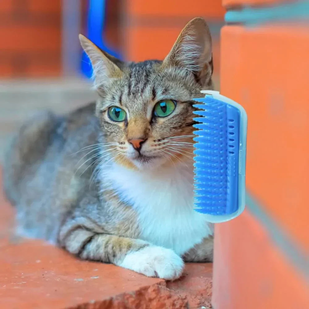 Innovatives Katzenzubehör: Eckbürste für Massage & Fellpflege, schnell und einfach anzubringen.