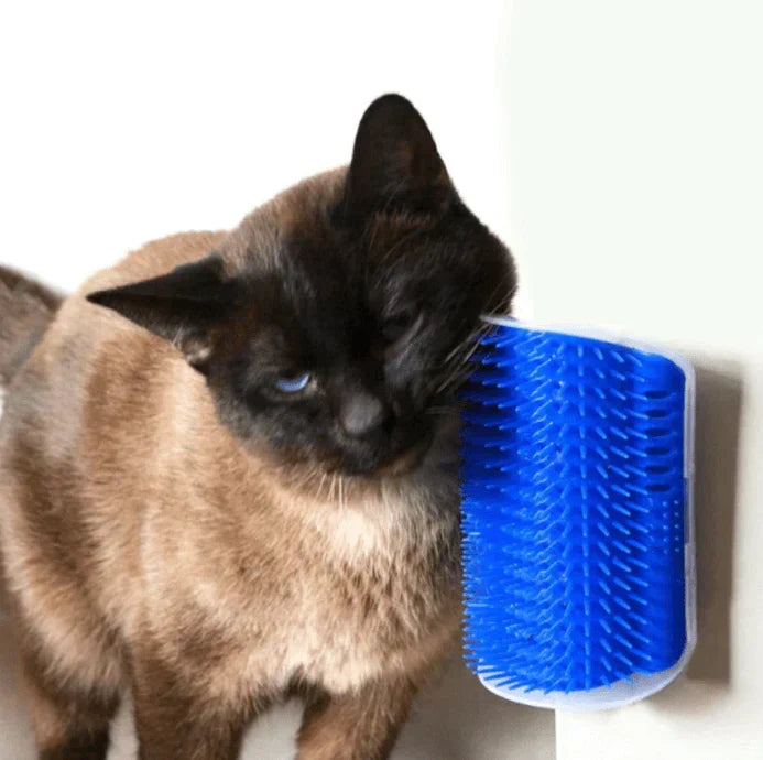Katzen Eckbürste zur Selbstpflege, ideal für sanfte Massage & tägliche Fellpflege. Einfach zu montieren.