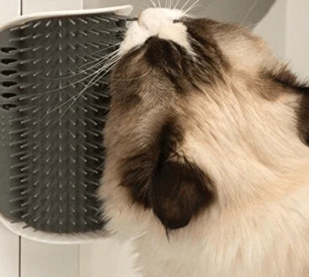 Fellpflege-Bürste für Katzen, eckmontierbar, bietet angenehme Massage & reduziert Haarausfall.