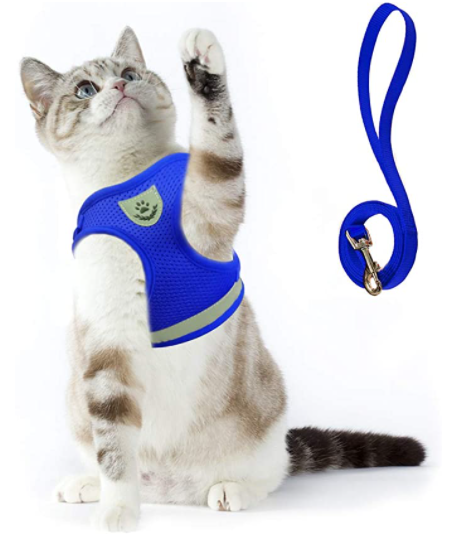 Grünes, ausbruchsicheres Katzengeschirr mit Leine, reflektierend für mehr Sichtbarkeit bei Nacht.