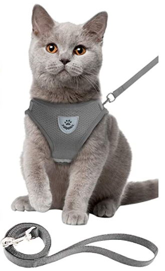 Graues, atmungsaktives Katzengeschirr mit Leine, ausbruchsicher für Outdoor-Spaß Ihrer Katze.