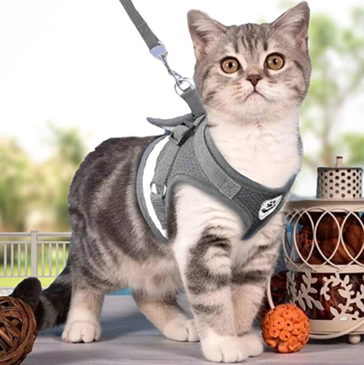 Sicheres reflektierendes Katzengeschirr mit Leine für Spaziergänge bei Nacht, top Tierzubehör.