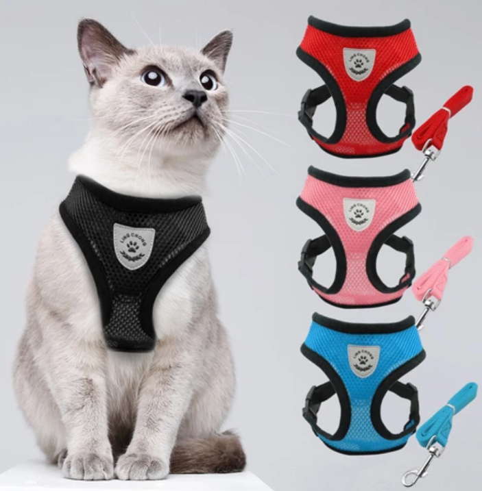 Schwarzes Katzengeschirr mit Leine, ausbruchsicher & komfortabel für Katzen-Outdoor-Abenteuer.