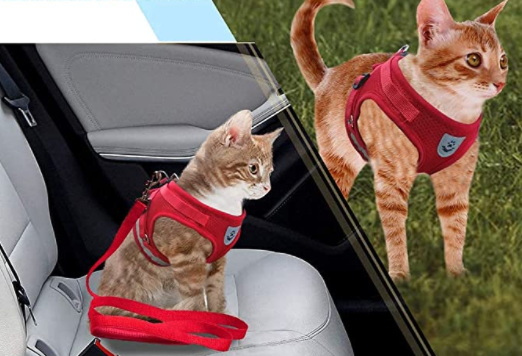 Stabiles Katzengeschirr & Leine, ideal für sichere Spaziergänge mit Ihrer Katze, outdoor geeignet.