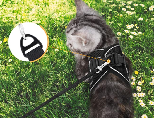 Atmungsaktives ausbruchsicheres Katzengeschirr mit Leine für maximale Sicherheit & Komfort.